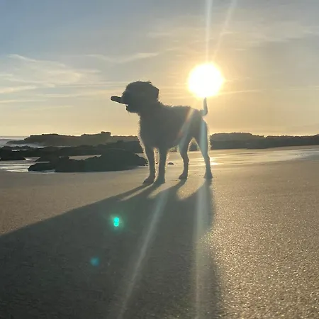 El Apartamentin De Lejlighed Lastres